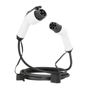 Evtaurus 40a 9,6 кВт типа 1 к эВ типа 2