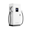 120 кВт DC Fast EV Зарядная станция с двойным пистолетом CCS2 и для коммерческого проекта